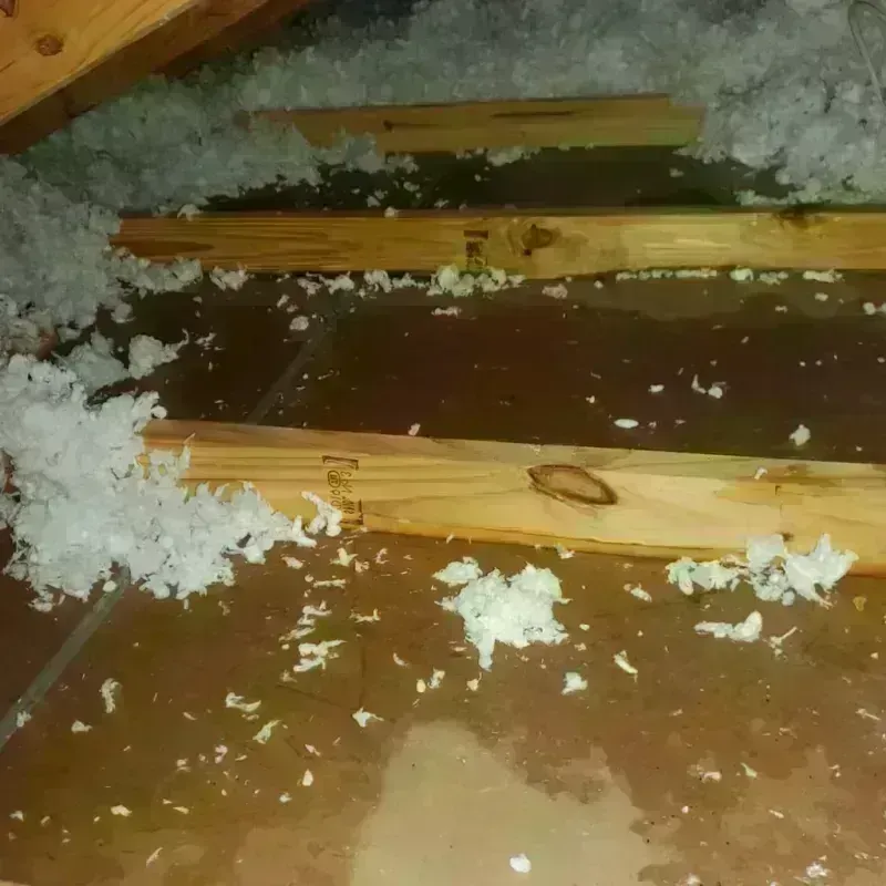 Attic Water Damage in Waikapu, HI